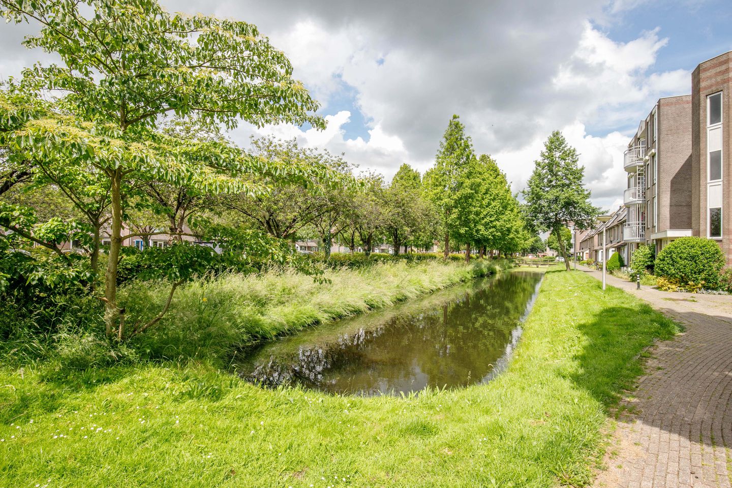 Photo 34 of De Terp 2