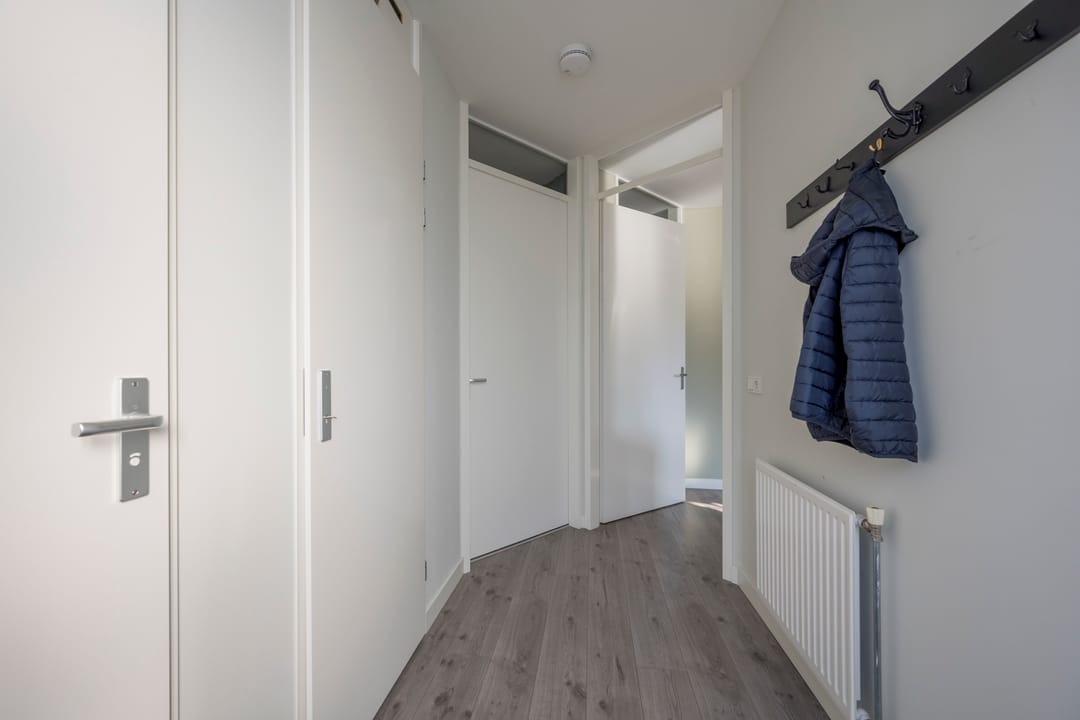 Photo 16 of Citroenvlinder 26