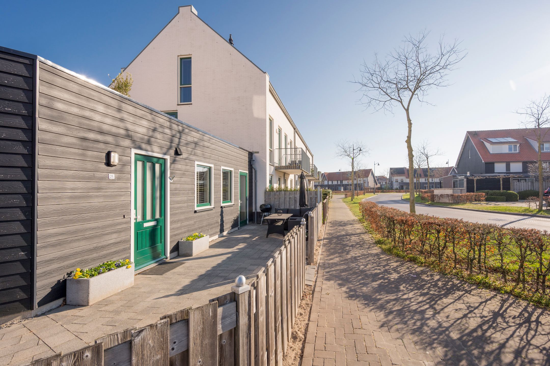 Photo 24 of Citroenvlinder 26