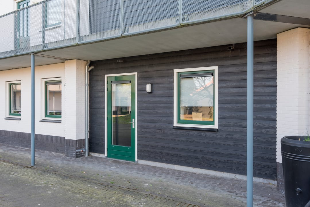 Photo 26 of Citroenvlinder 26