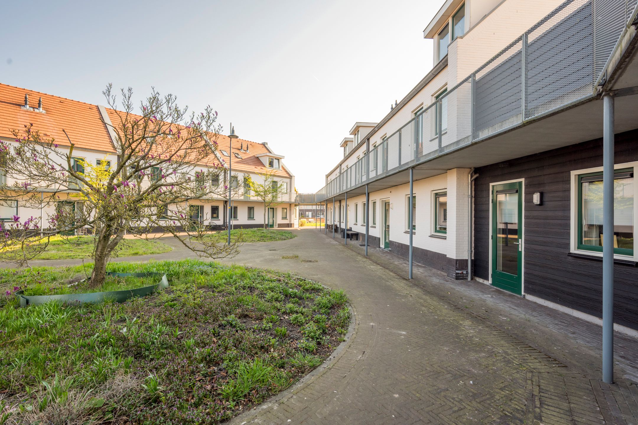 Photo 27 of Citroenvlinder 26