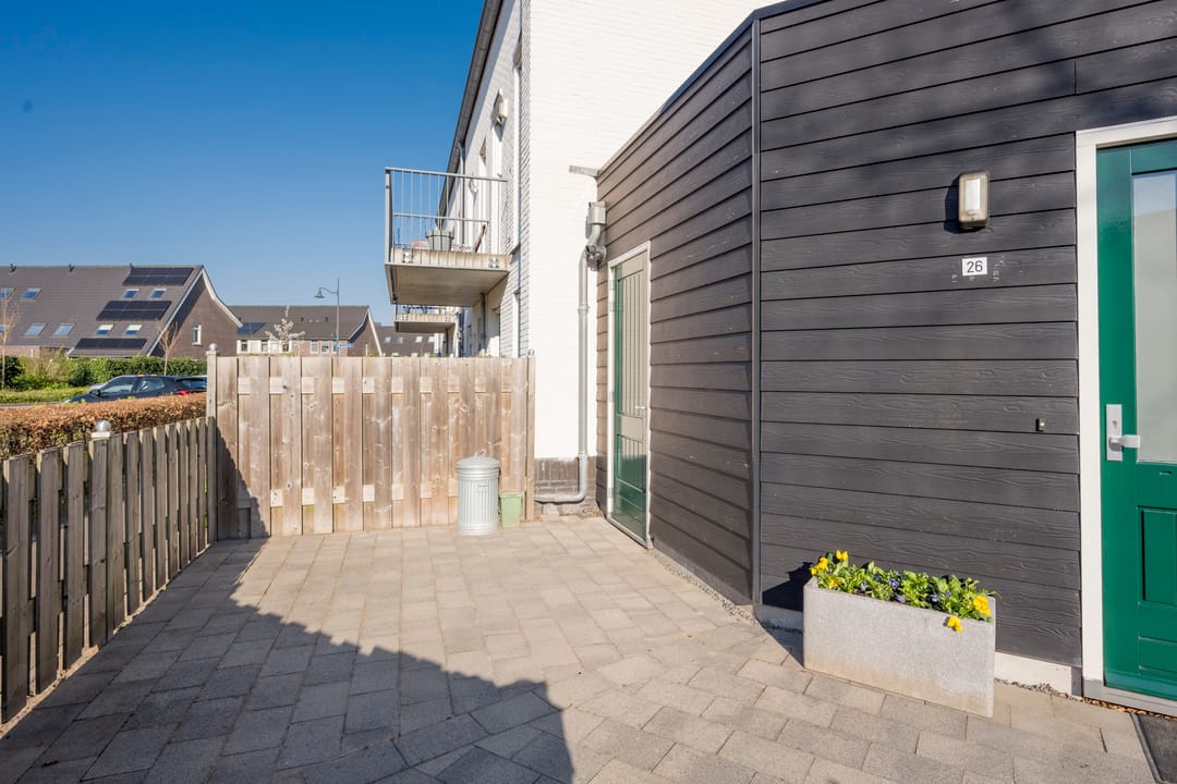 Photo 23 of Citroenvlinder 26