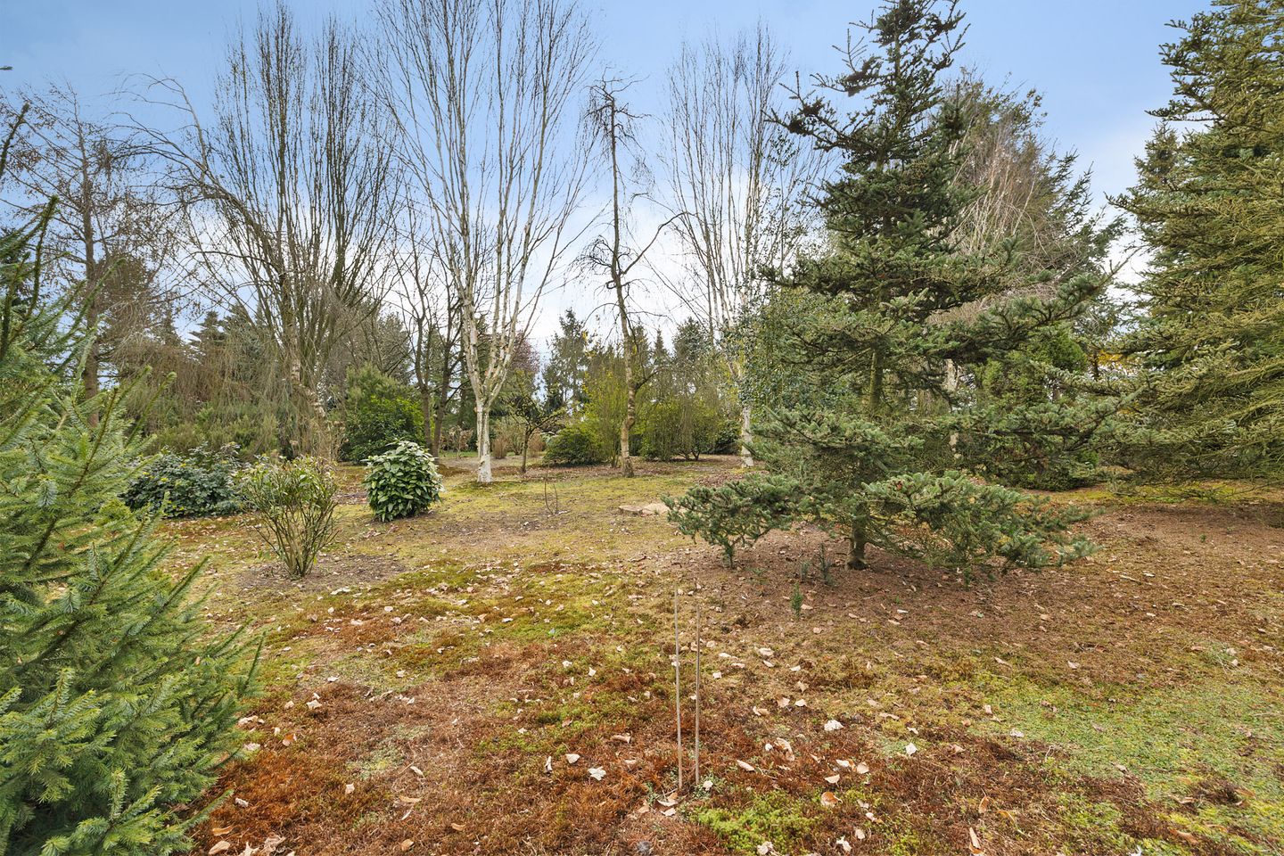 Foto 40 van Eerste Kruisdiep WZ 132