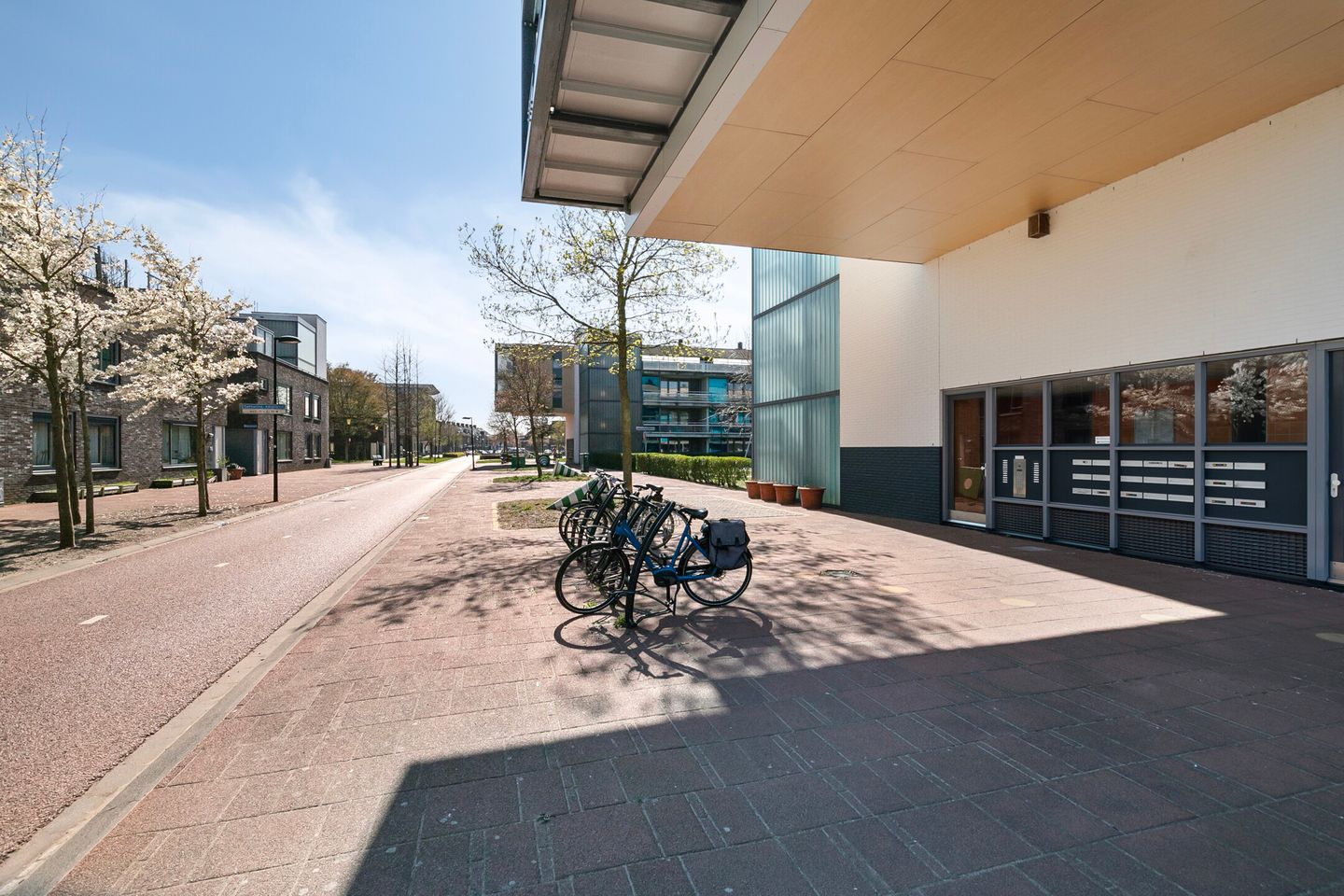 Foto 4 van Catharina-Amaliahof 35