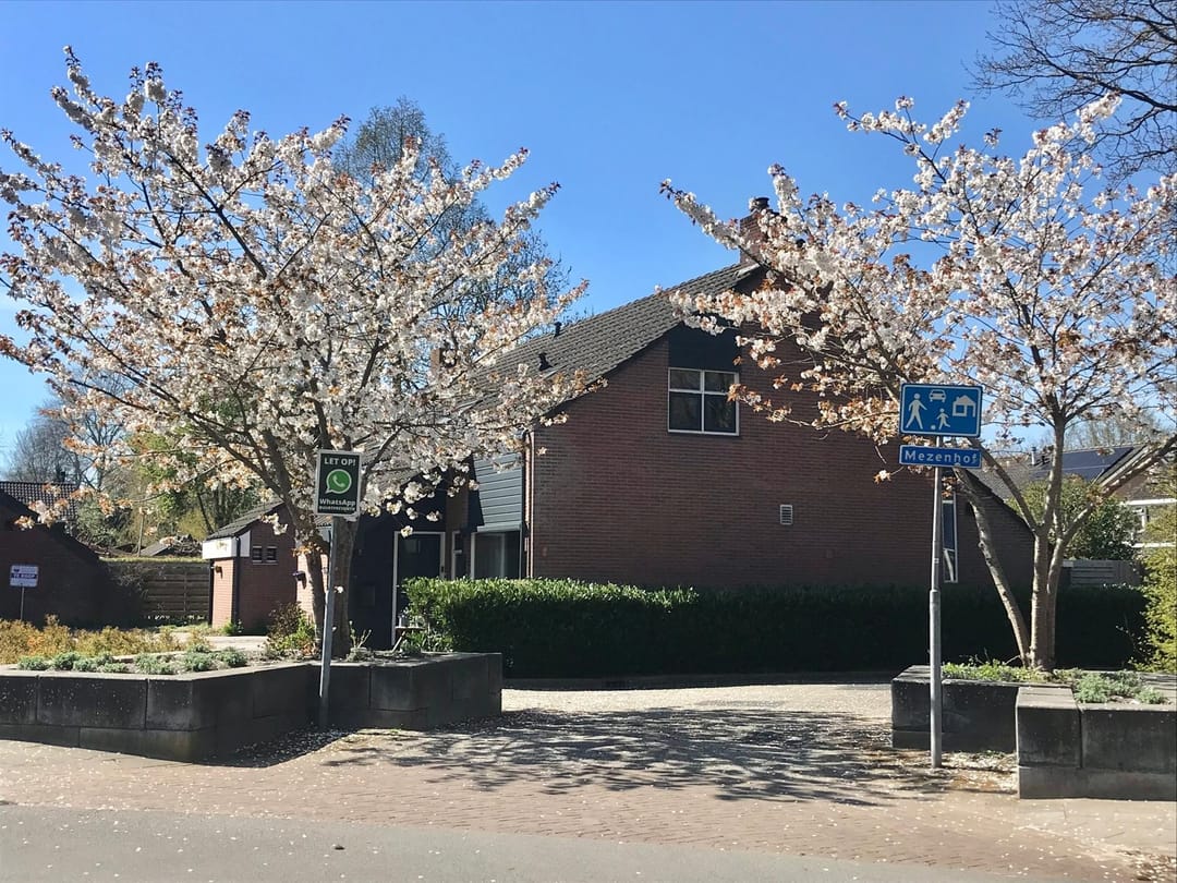 Foto 41 van Mezenhof 1