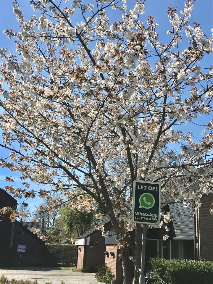 Foto 42 van Mezenhof 1