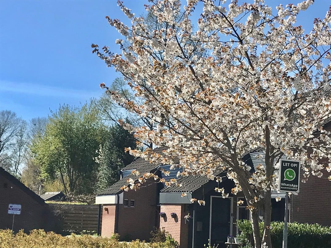 Foto 43 van Mezenhof 1