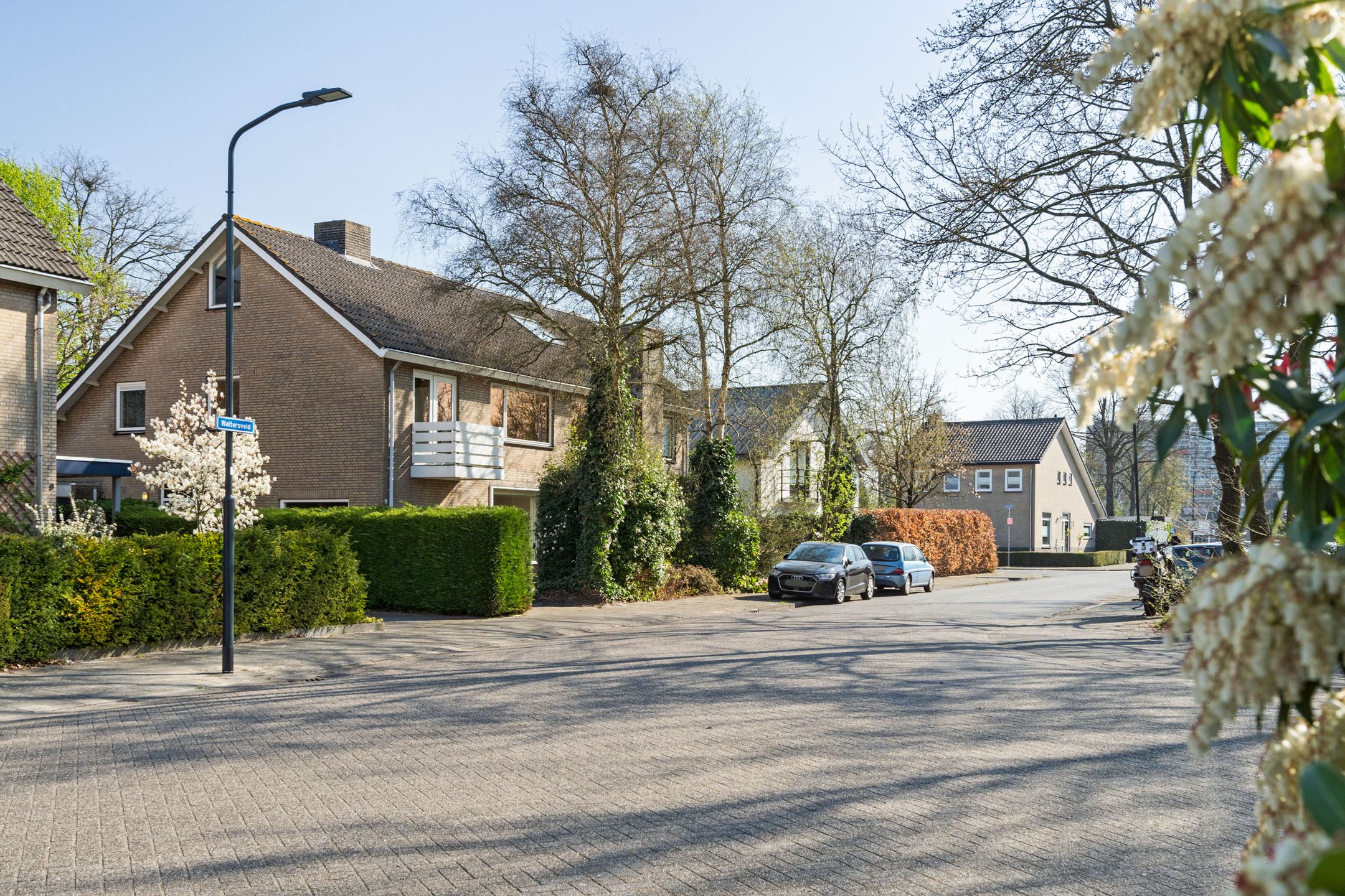 Foto 45 van Waltersveld 11