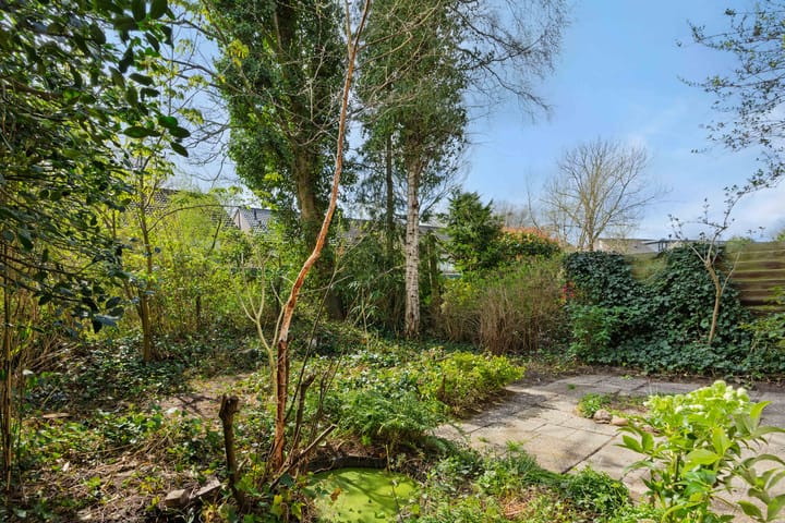 Foto 24 van Klein Brabant 115