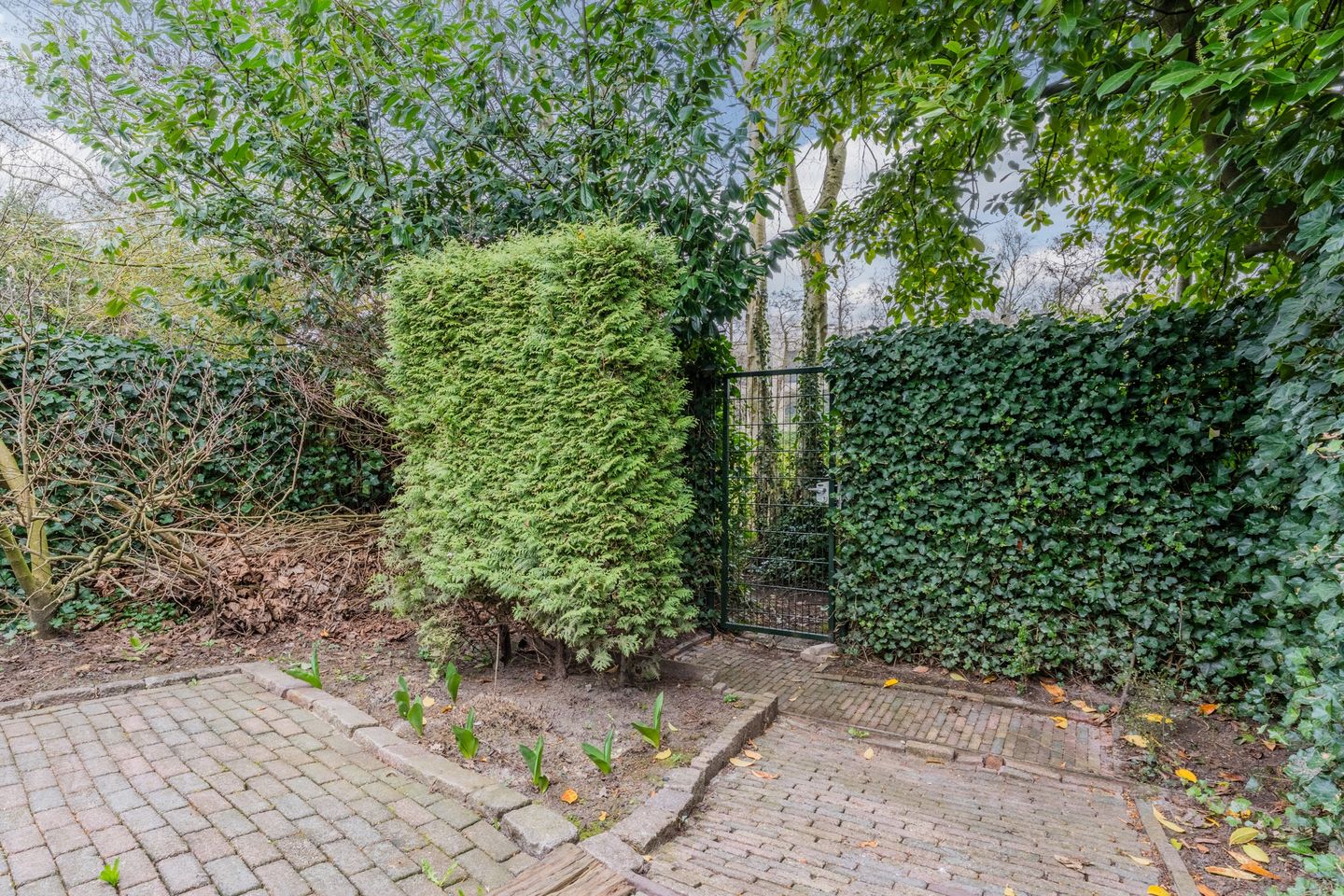 Foto 55 van Deijlerweg 40