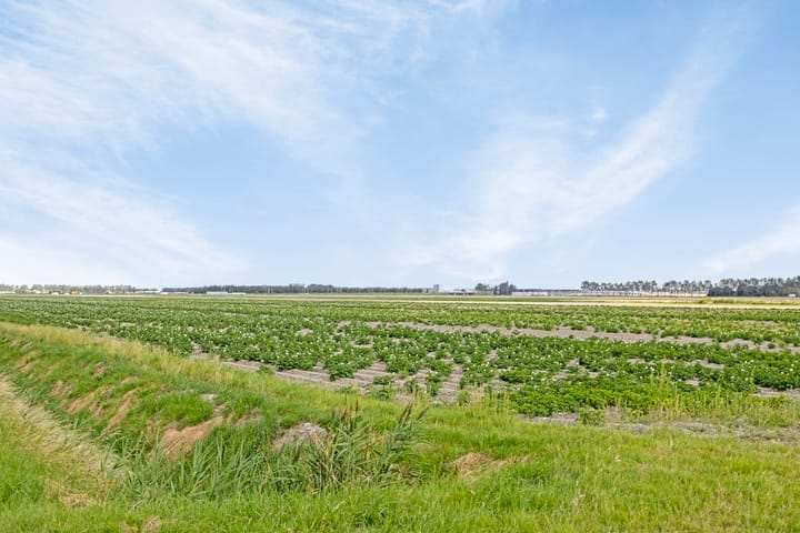 Foto 4 van Rijnlanderweg 1120