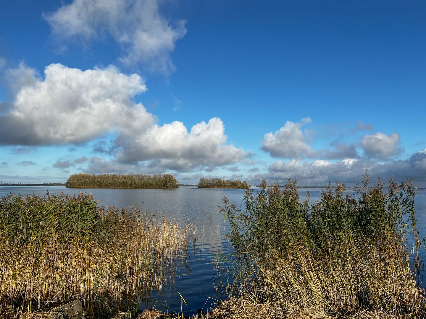 Foto 1 van Galerij 27