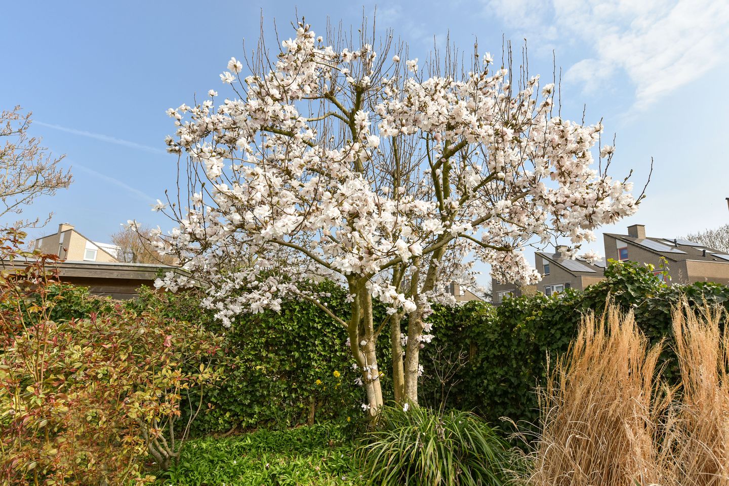 Foto 40 van Oosterlandweg 2