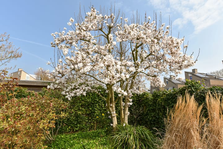 Photo 40 of Oosterlandweg 2