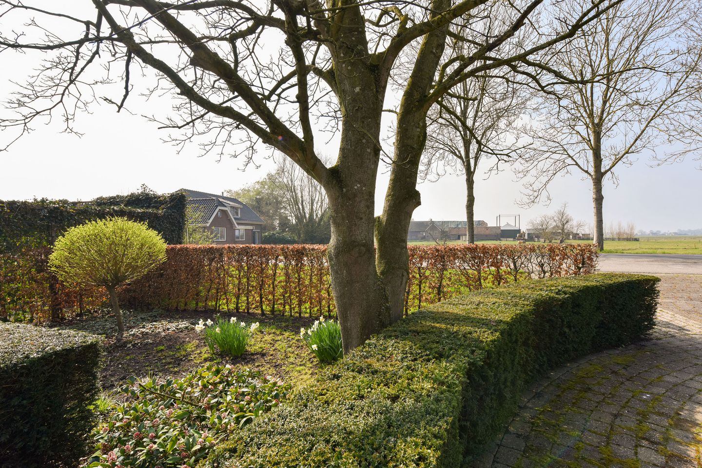 Foto 50 van Oosterlandweg 2