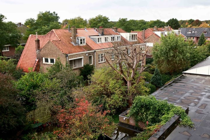 Foto 16 van Roemer Visscherplein 17