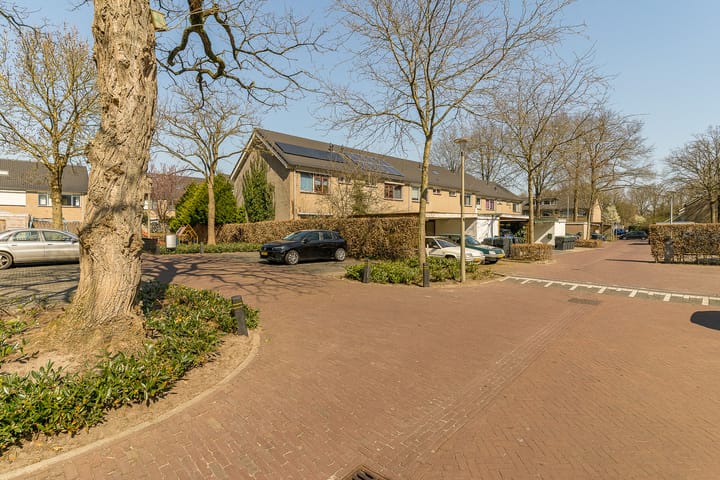 Foto 49 van Mesdaghout 25