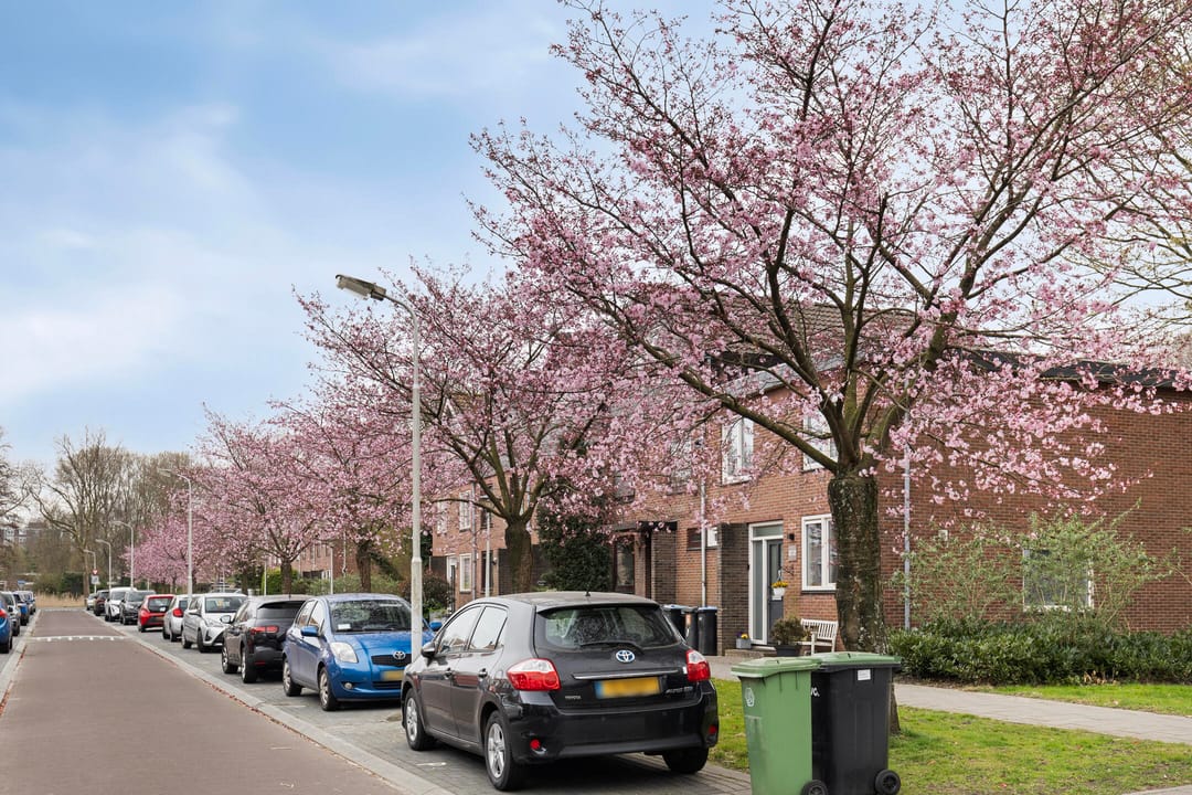 Foto 28 van Zuiderven 5