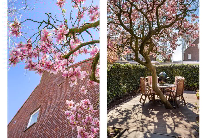 Foto 23 van Heijbergstraat 9