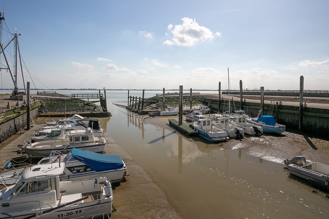 Foto 53 van van Hattumstraat 16