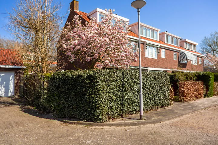 Foto 38 van Heijbergstraat 9