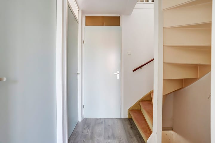 Photo 11 of Viool 74