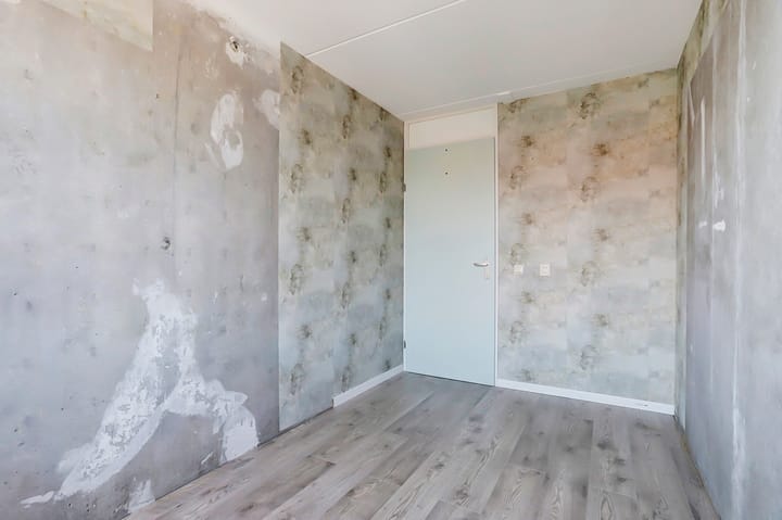 Photo 12 of Viool 74