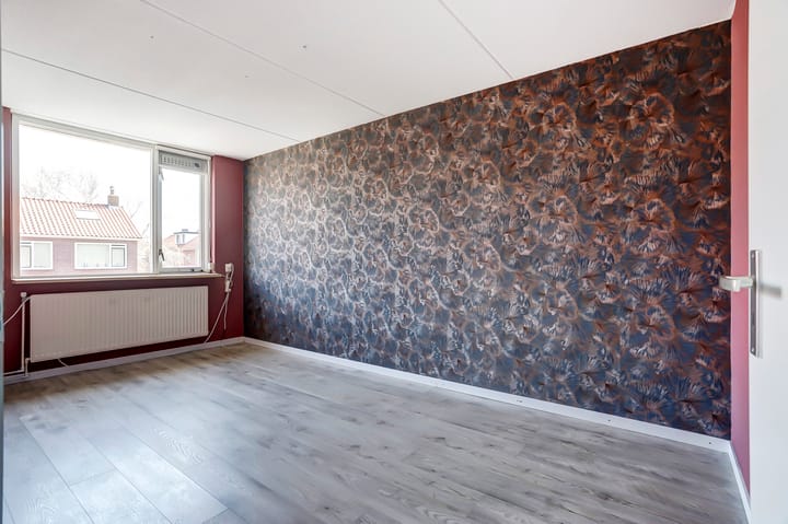 Photo 13 of Viool 74