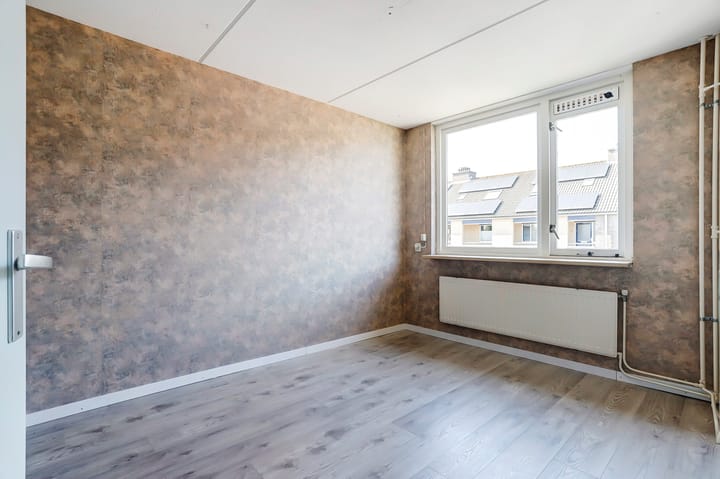 Photo 15 of Viool 74