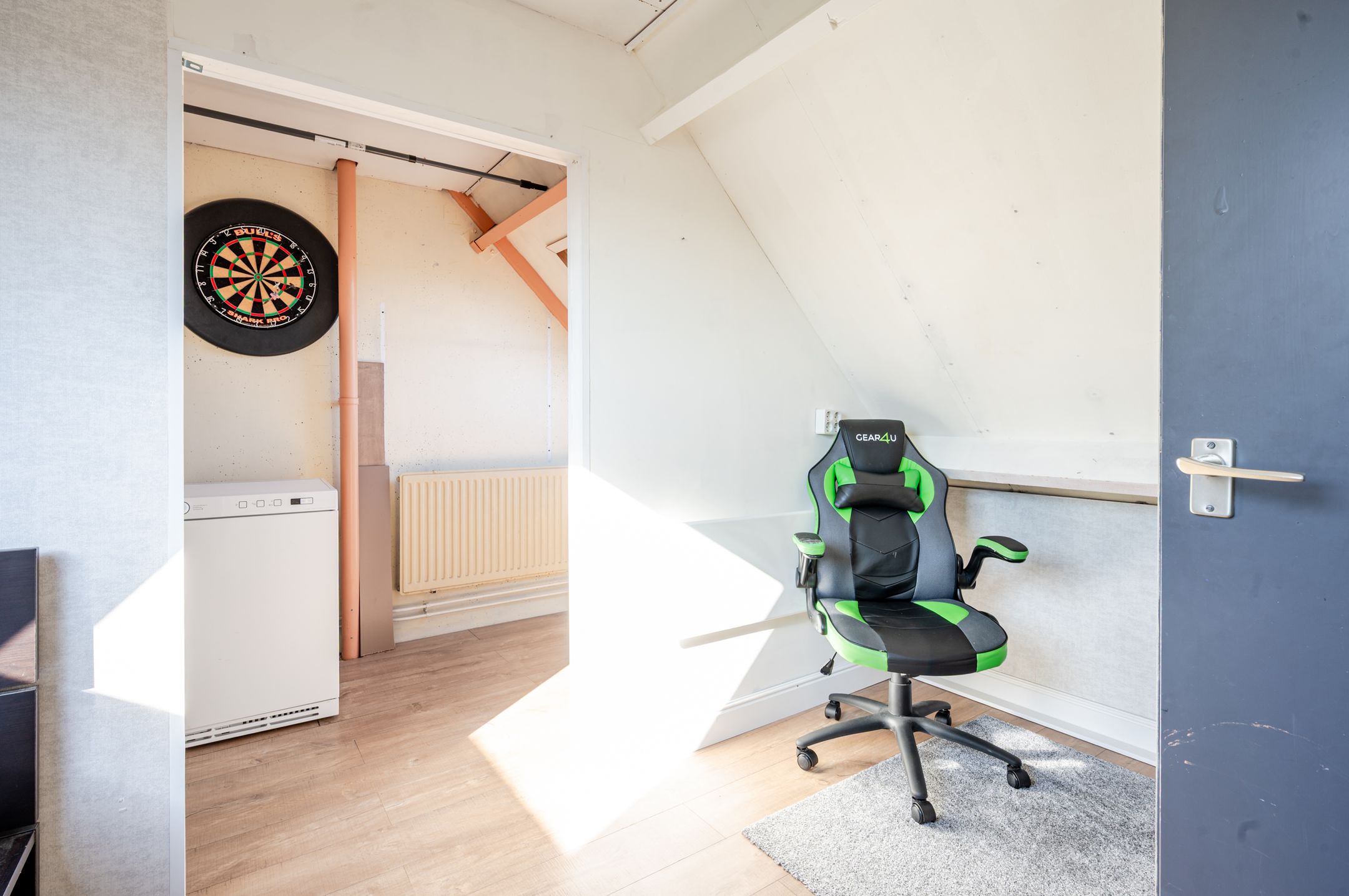 Foto 27 van Slufterplantsoen 119