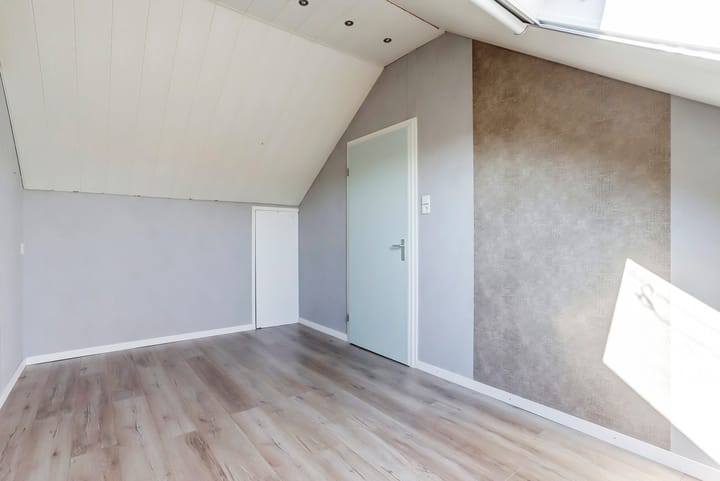 Photo 24 of Viool 74