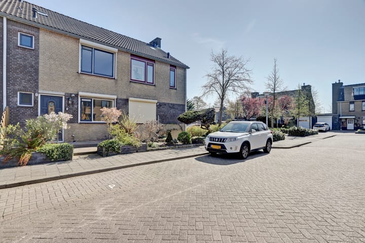 Photo 27 of Viool 74