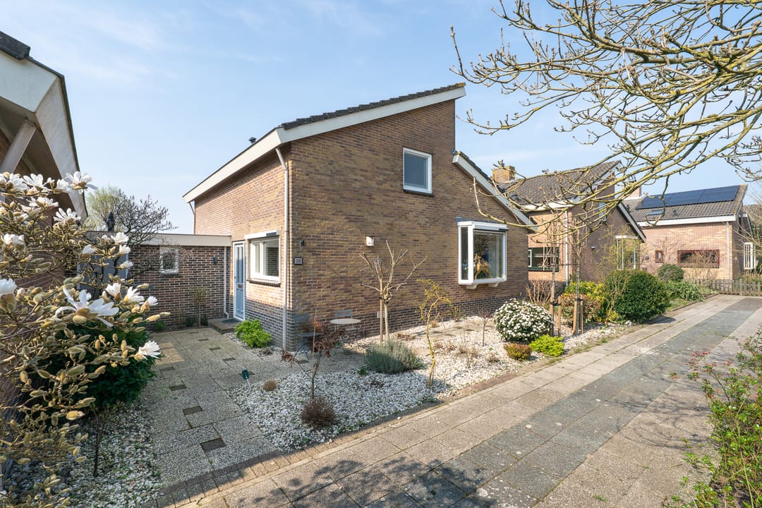 Foto 1 van Patrijs 38