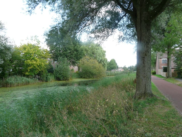 Foto 5 van Hottingastate 49