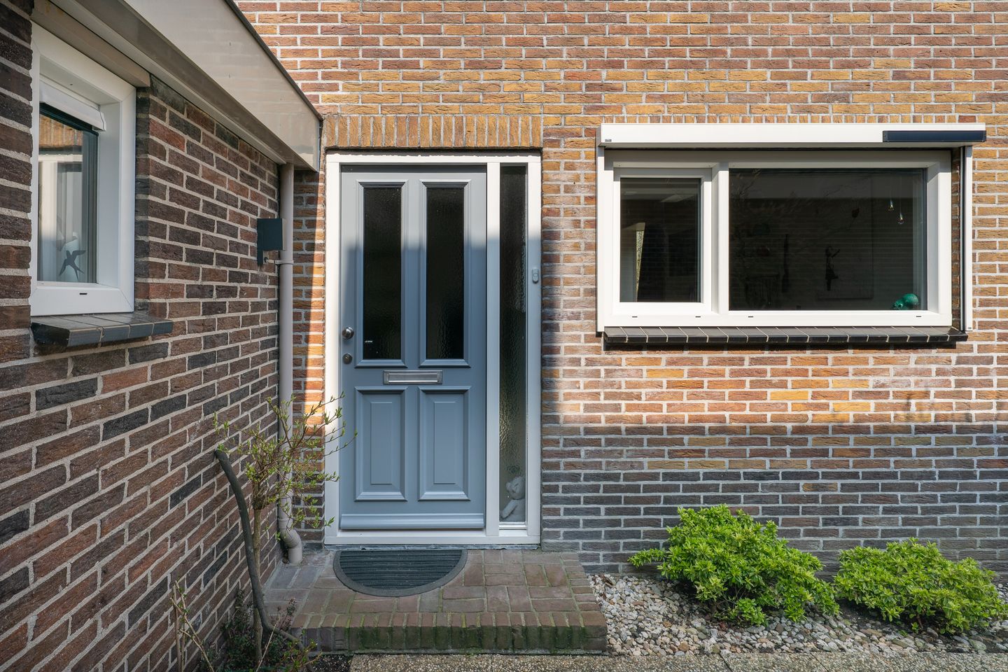 Foto 44 van Patrijs 38