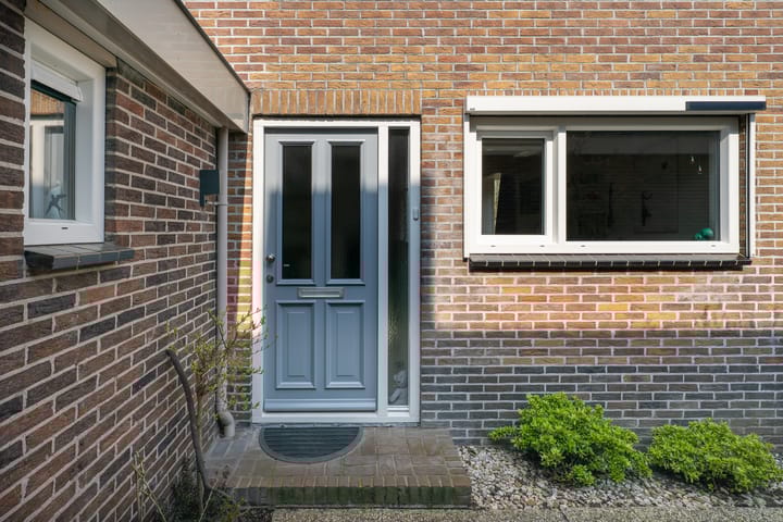 Photo 44 of Patrijs 38