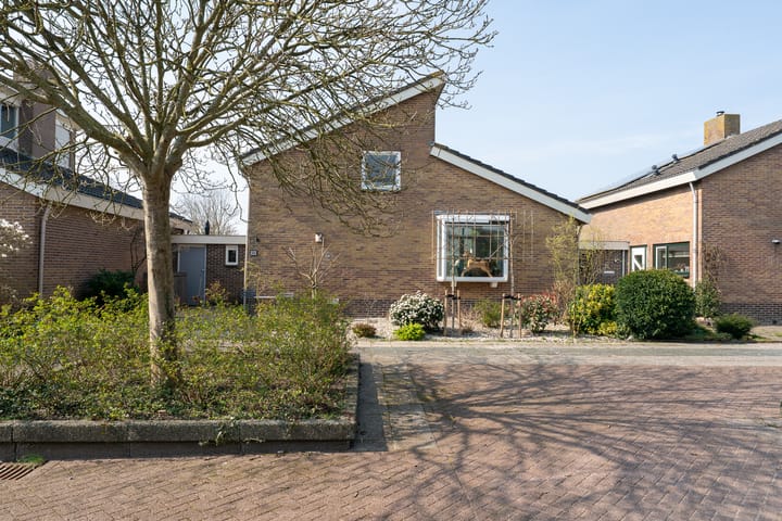 Photo 45 of Patrijs 38