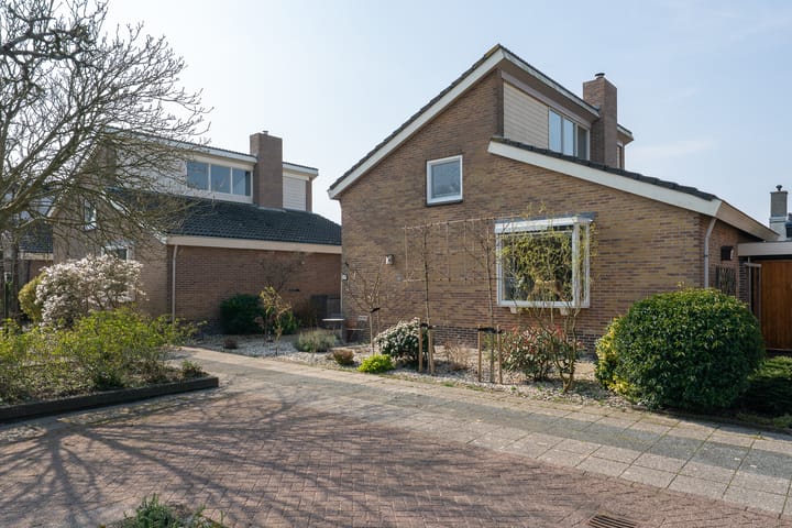 Photo 46 of Patrijs 38