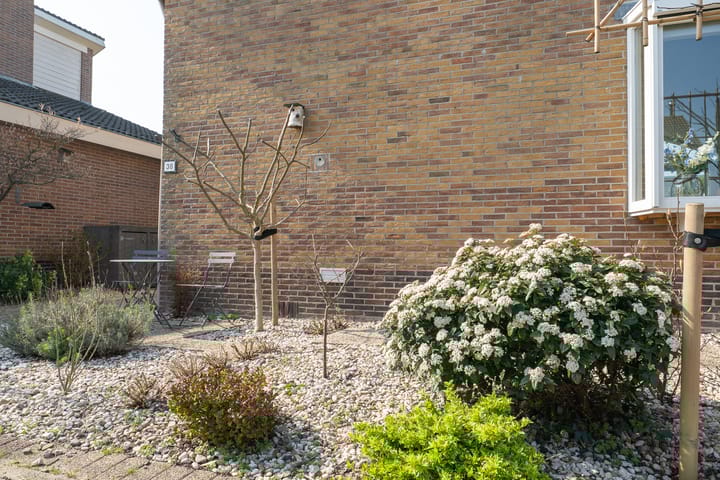 Photo 47 of Patrijs 38