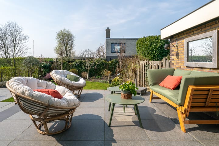 Photo 50 of Patrijs 38