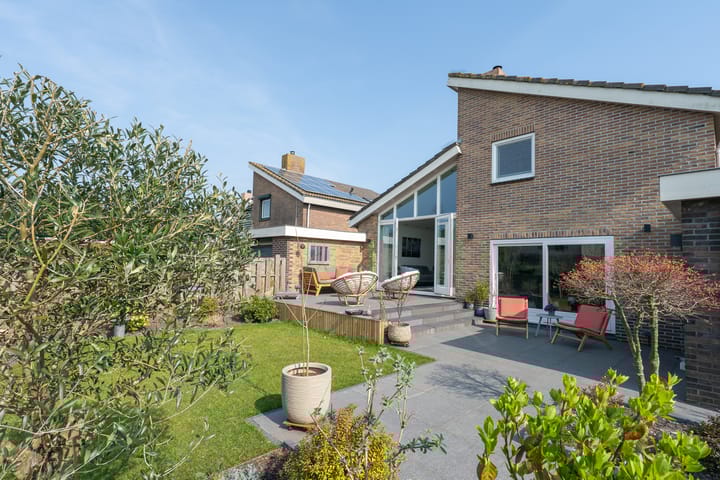 Photo 55 of Patrijs 38