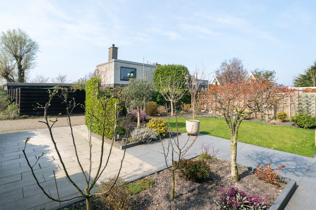 Foto 56 van Patrijs 38