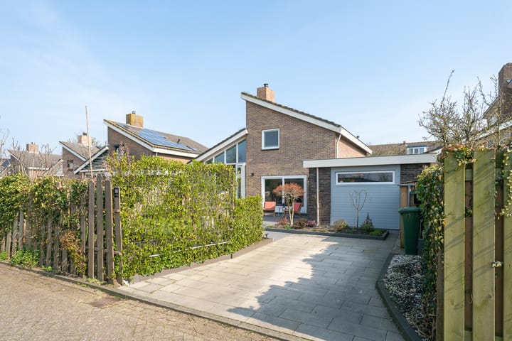 Photo 57 of Patrijs 38