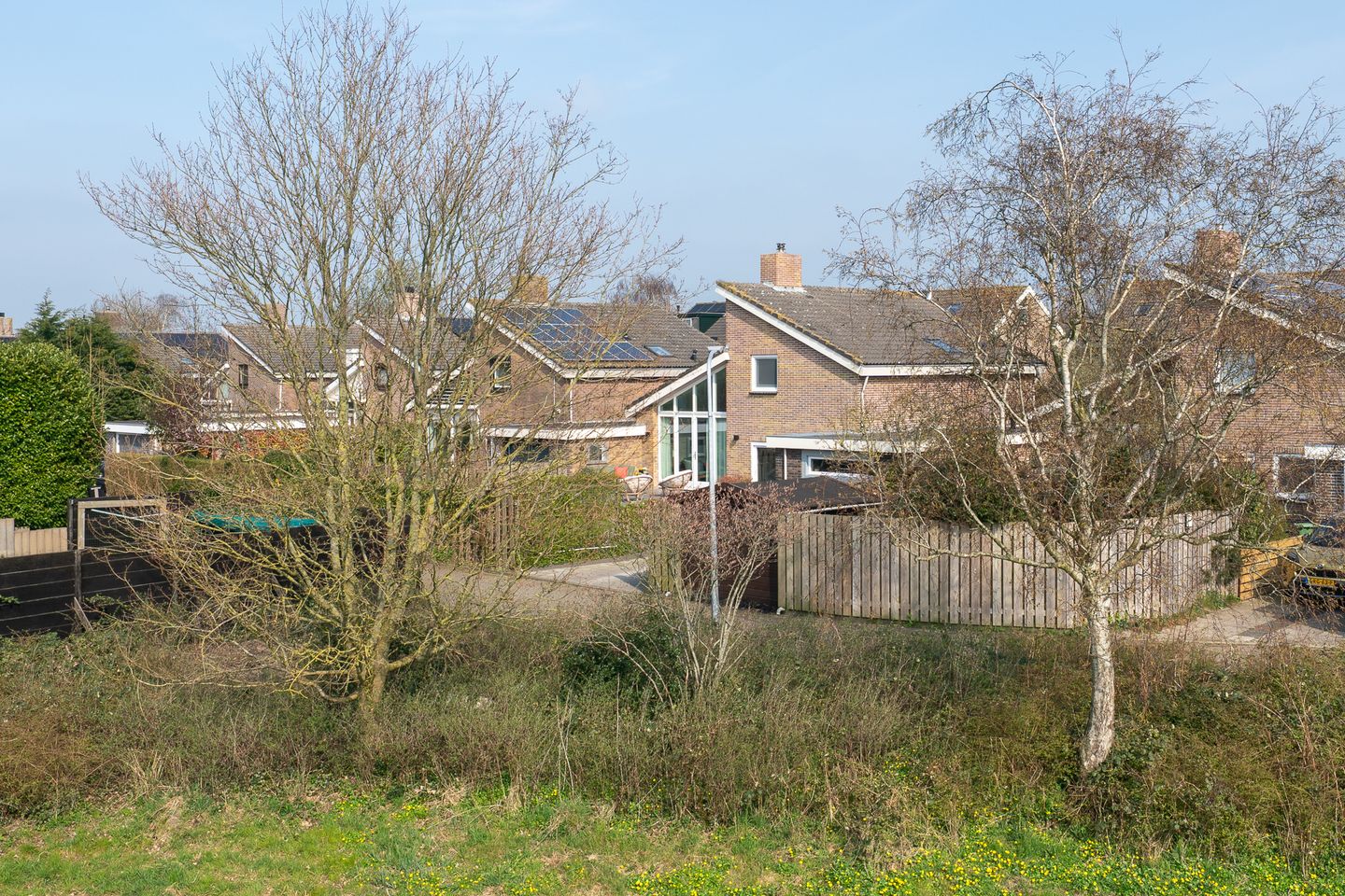 Foto 59 van Patrijs 38