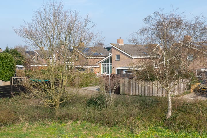 Photo 59 of Patrijs 38