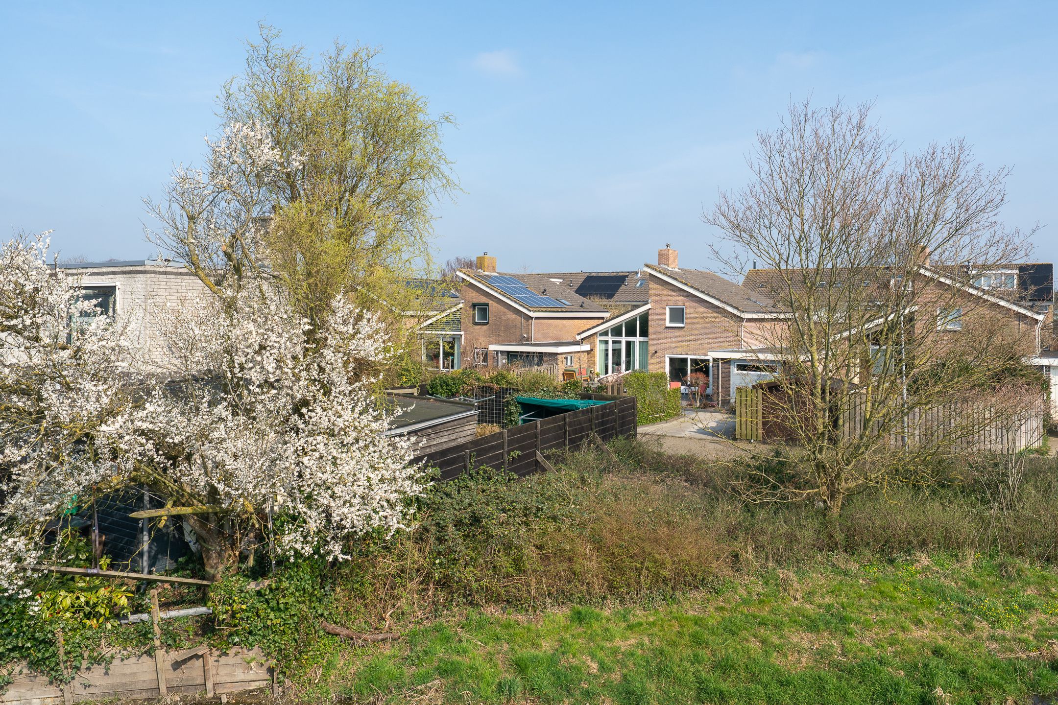 Foto 60 van Patrijs 38