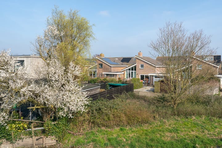 Photo 60 of Patrijs 38