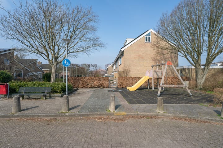 Photo 61 of Patrijs 38