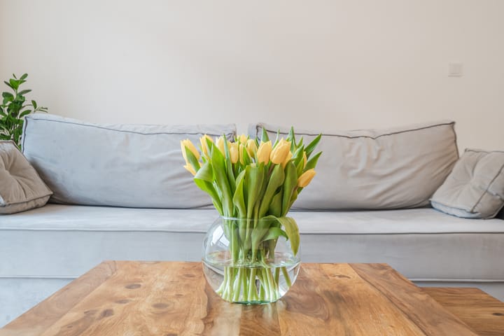 Foto 3 van Convivastraat 108