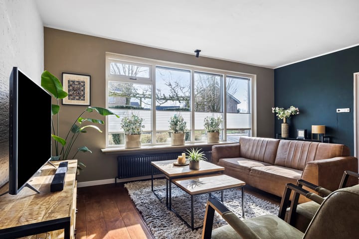 Foto 3 van de Plevier 17